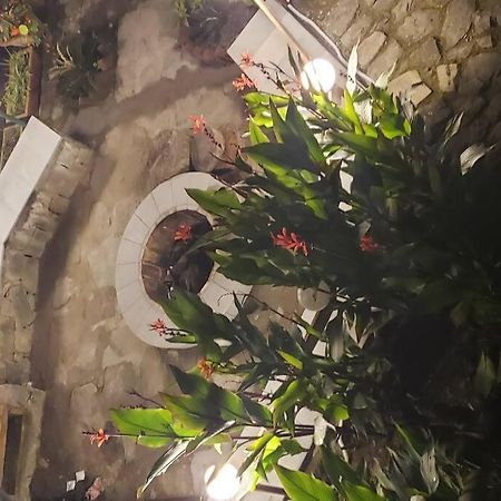 Kasauli Cascade A Cheerfull 4 Bedroom Challet Luaran gambar