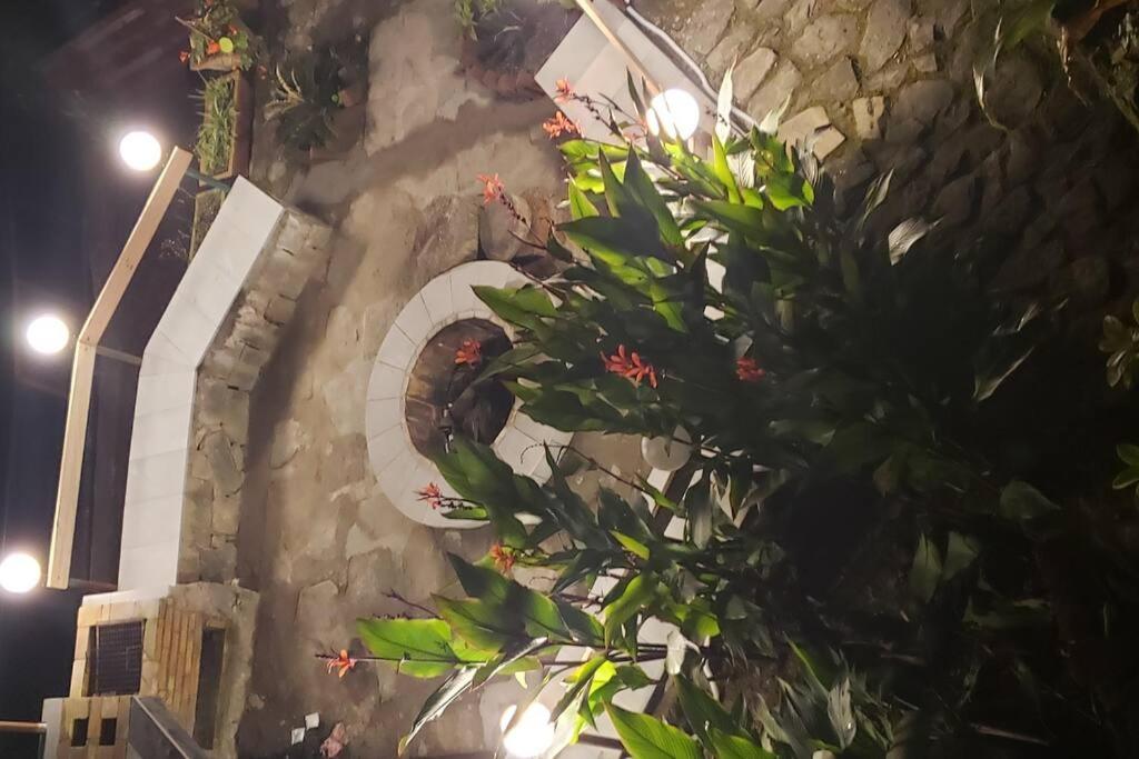 Kasauli Cascade A Cheerfull 4 Bedroom Challet Luaran gambar