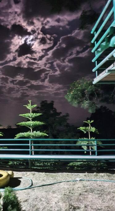 Kasauli Cascade A Cheerfull 4 Bedroom Challet Luaran gambar