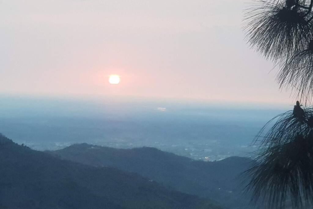 Kasauli Cascade A Cheerfull 4 Bedroom Challet Luaran gambar