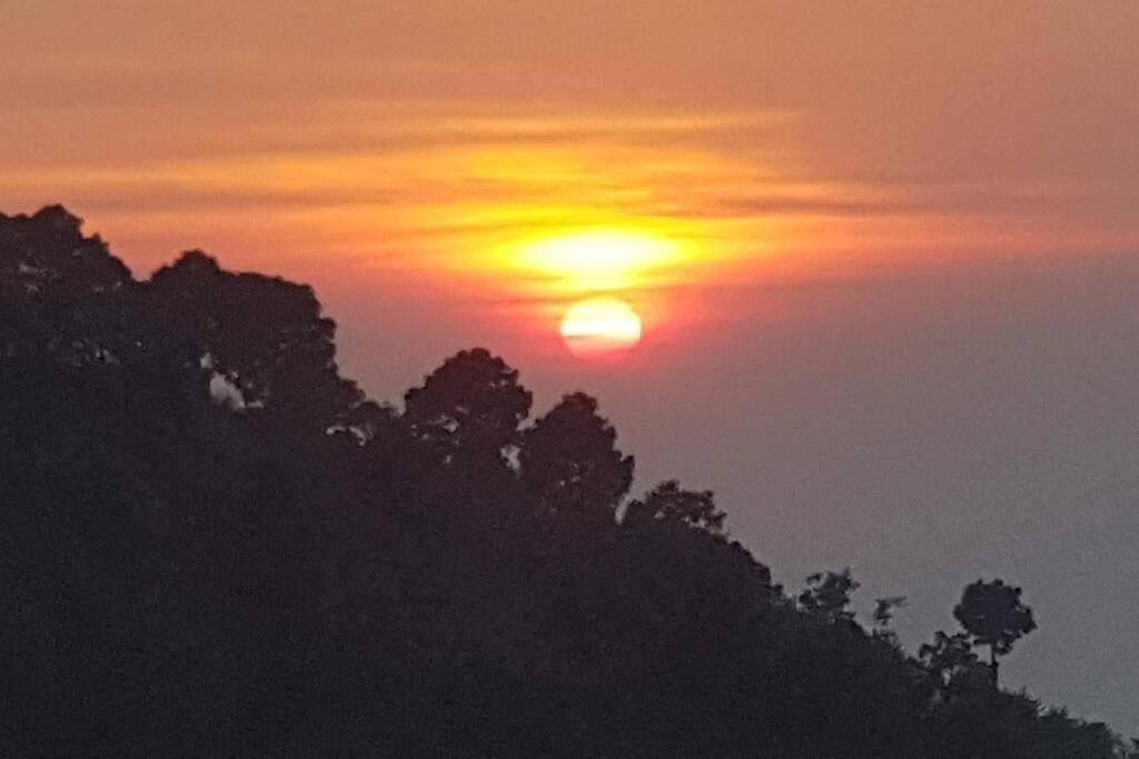 Kasauli Cascade A Cheerfull 4 Bedroom Challet Luaran gambar