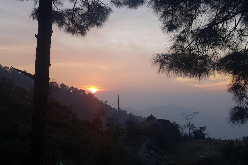 Kasauli Cascade A Cheerfull 4 Bedroom Challet Luaran gambar