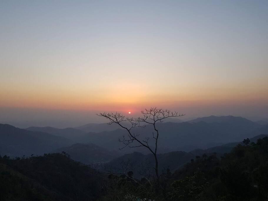 Kasauli Cascade A Cheerfull 4 Bedroom Challet Luaran gambar