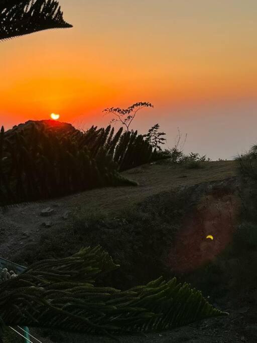Kasauli Cascade A Cheerfull 4 Bedroom Challet Luaran gambar
